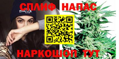 2c-b Будённовск