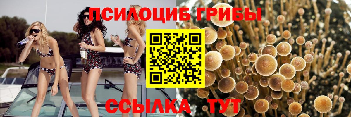 Петропавловск-Камчатский  Галлюциногенные грибы Magic Shrooms  Вход с VPN 
