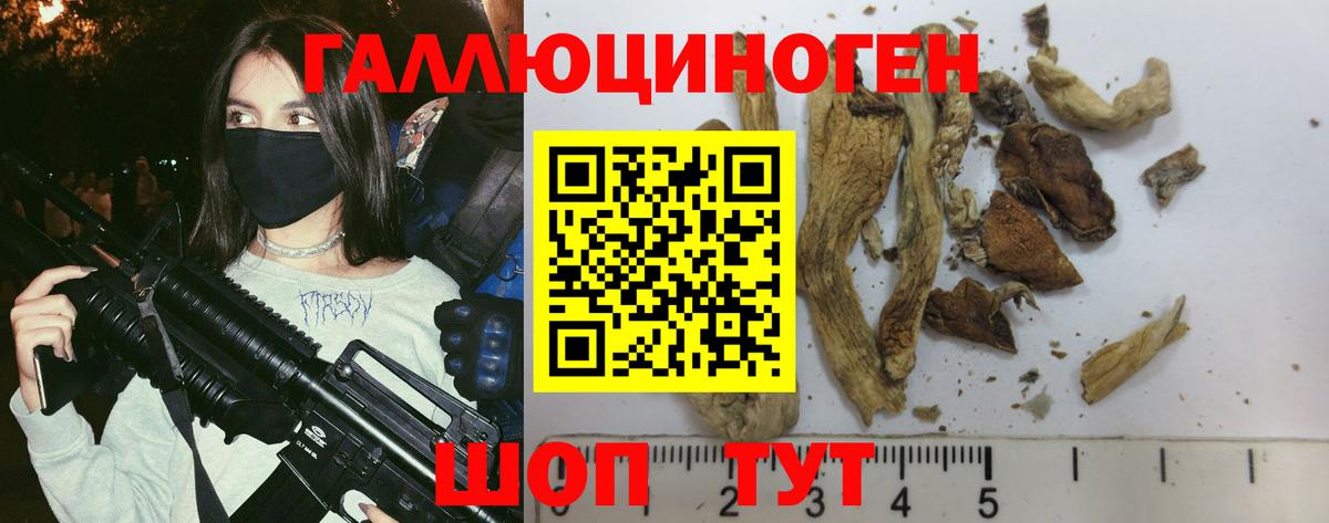 Псилоцибиновые грибы Magic Shrooms Петропавловск-Камчатский